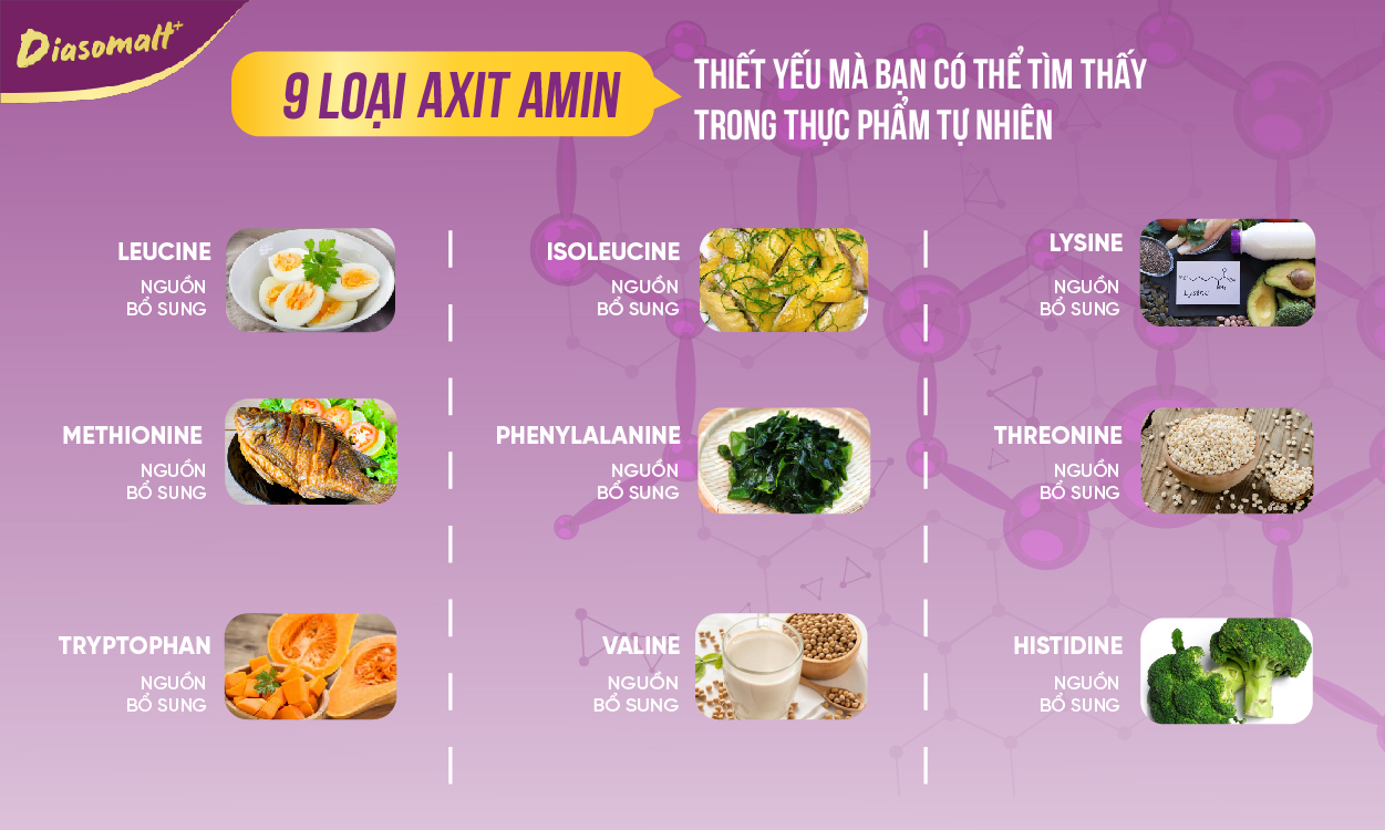 Axit Amin thiết yếu trong cơ thể