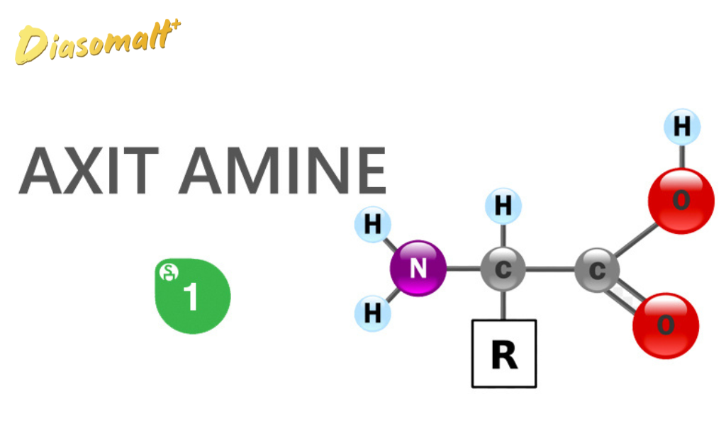 Axit Amin là gì?