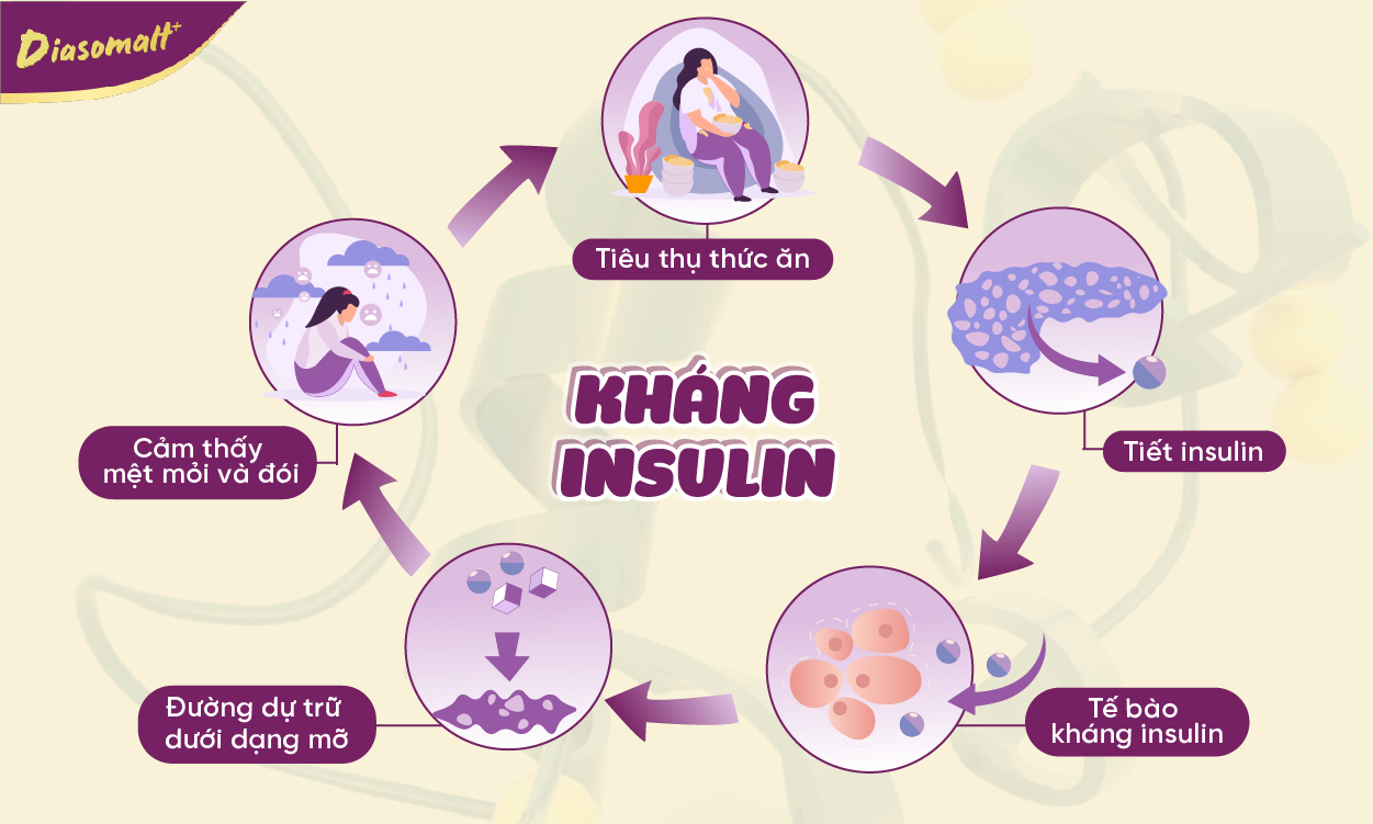 Nguyên nhân gây kháng Insulin