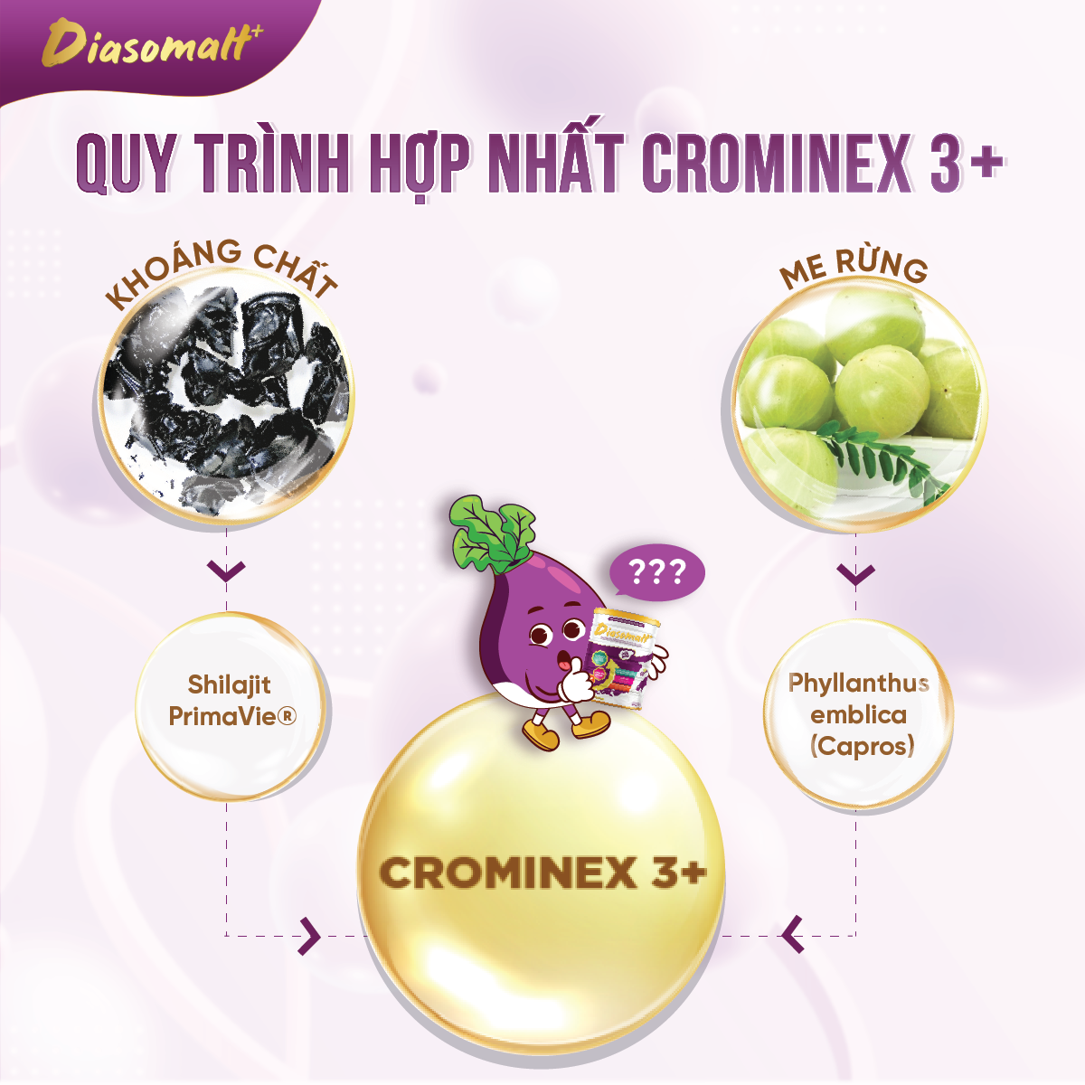 Quy trình hợp nhất Crominex 3+